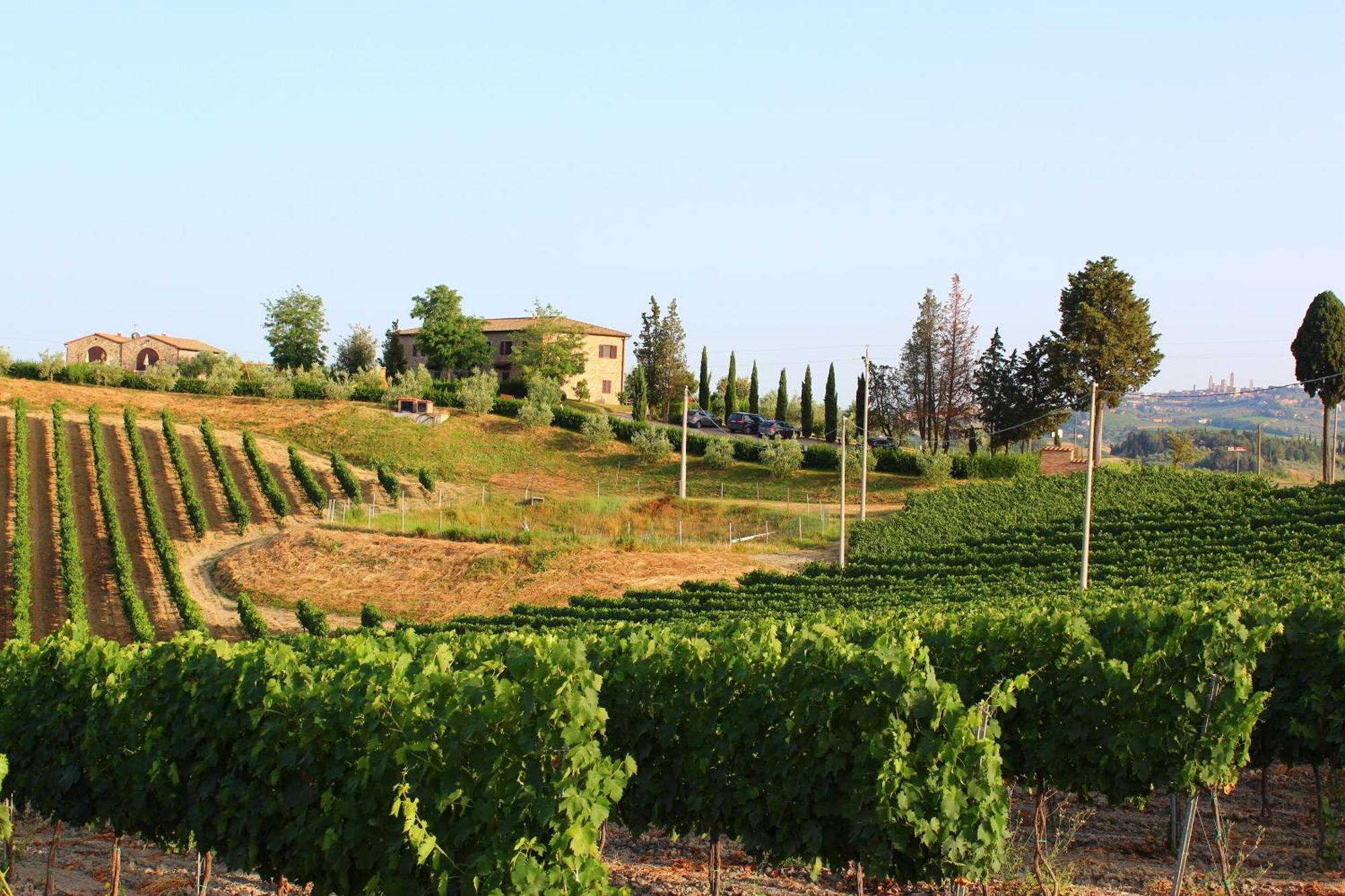 Agriturismo Macinatico Сан-Джиминьяно Экстерьер фото